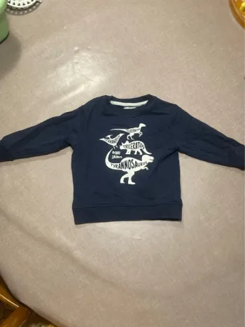 🦖 Sweat garçon Vertbaudet dinosaures – Taille 3 ans (94 cm)
