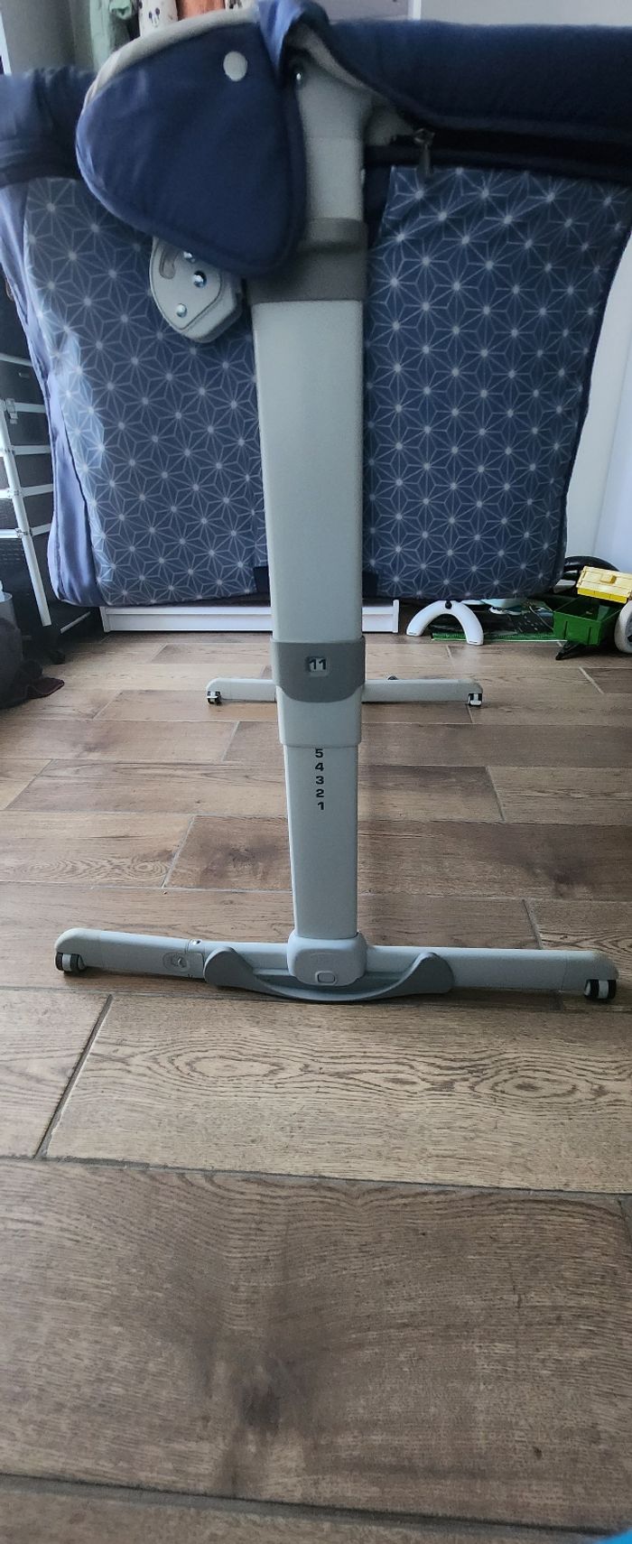 Cododo chicco - photo numéro 4