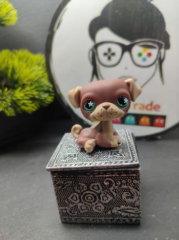 Lps01275 My Littlest Petshop Pet Shop LPS Authentic Hasbro Dog Chien Carlin 889