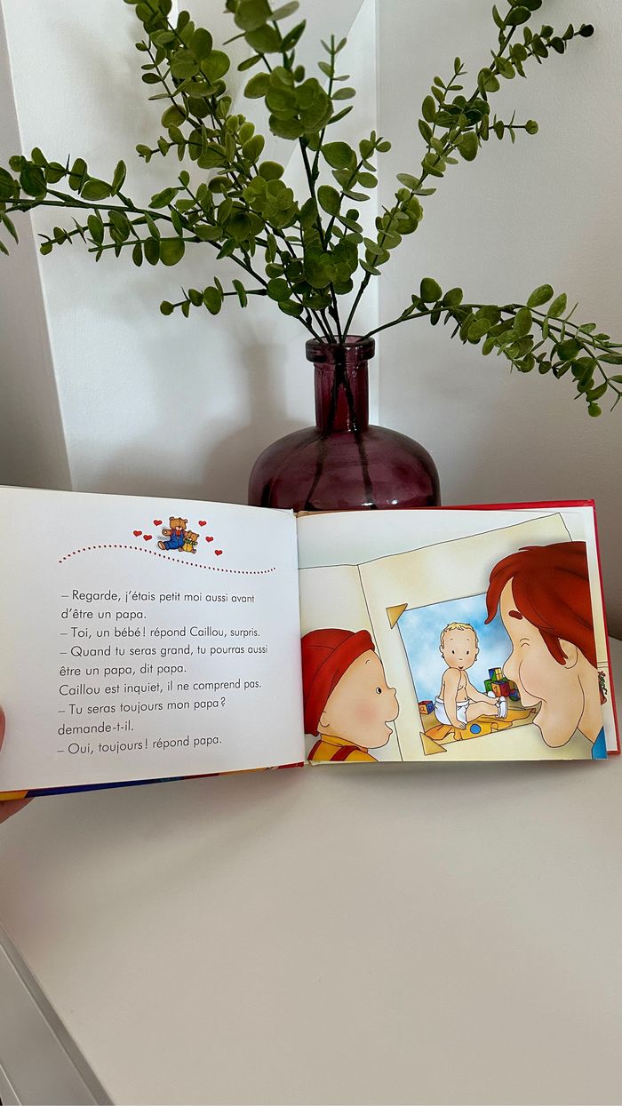 đ€ Livre caillou comme papa đ€ - photo numĂ©ro 4