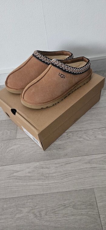 Ugg TAZZ