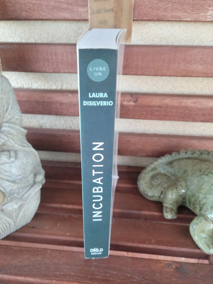 Livre "Incubation" de Laura Disilverio - photo numéro 2