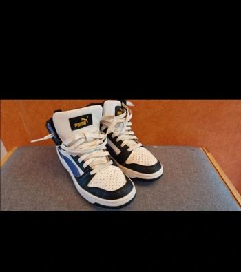 Basket Puma
