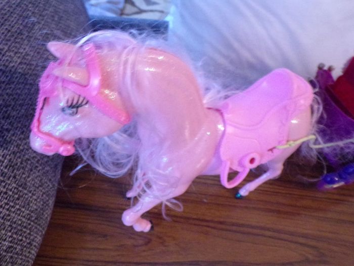 Cheval + carrosse - photo numéro 2