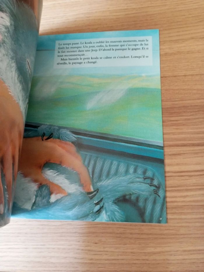 Livre petit koala parmi les hommes - photo numéro 3