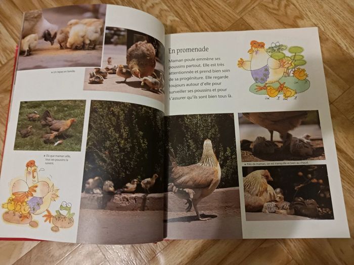Livre " Je connais les animaux de la maison et du jardin" en bon état - photo numéro 10