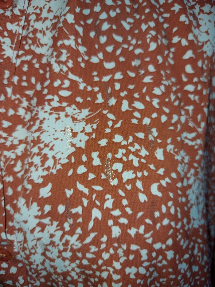 Chemisier - photo numéro 2