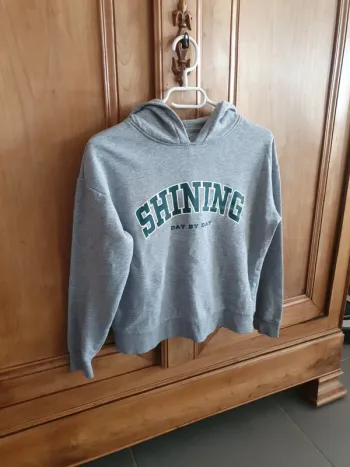 Sweat capuche gris