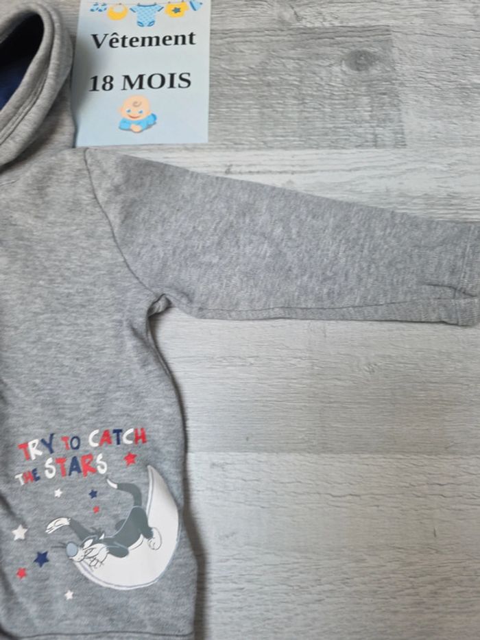 Veste avec capuche garcon 18 mois - photo numéro 3