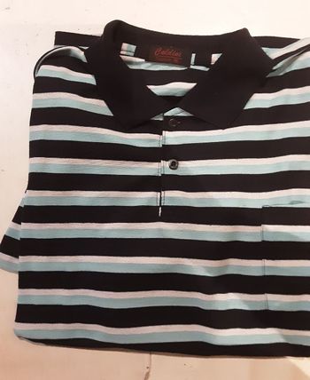 Polo manches courte marque Caldini taille XL