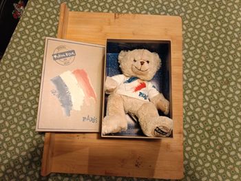 Doudou ou peluche Ours 🐻 Paris neuf