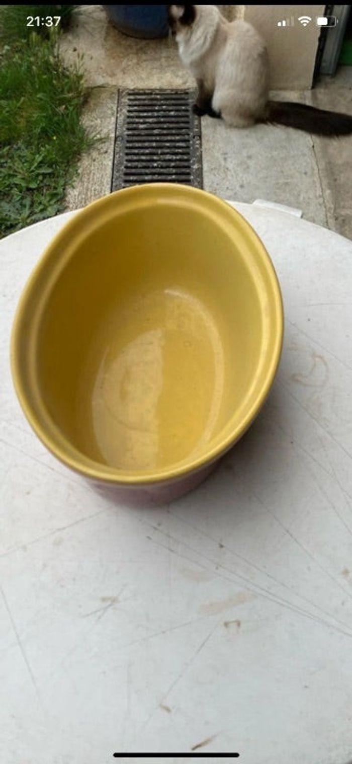 Plat ovale