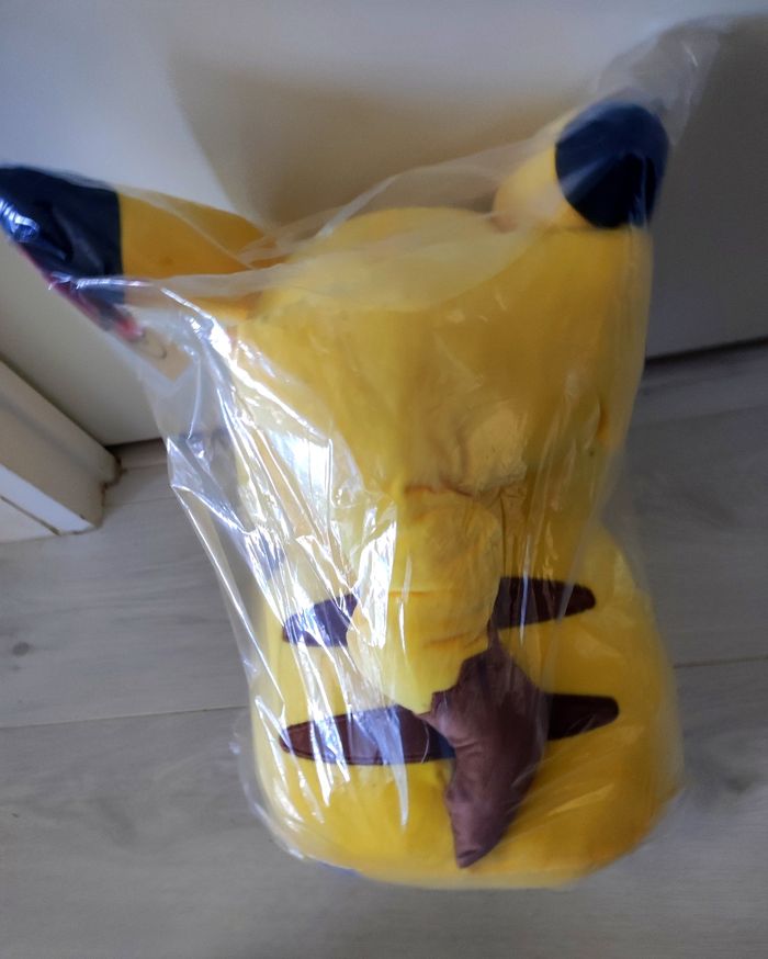 Pokémon Pikachu - photo numéro 2