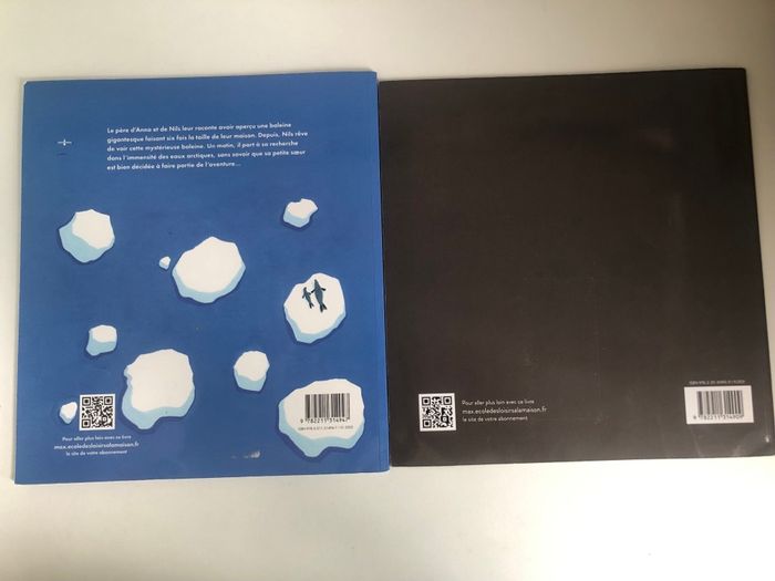 Lot de 2 livres La mystérieuse baleine et Le feu - photo numéro 2