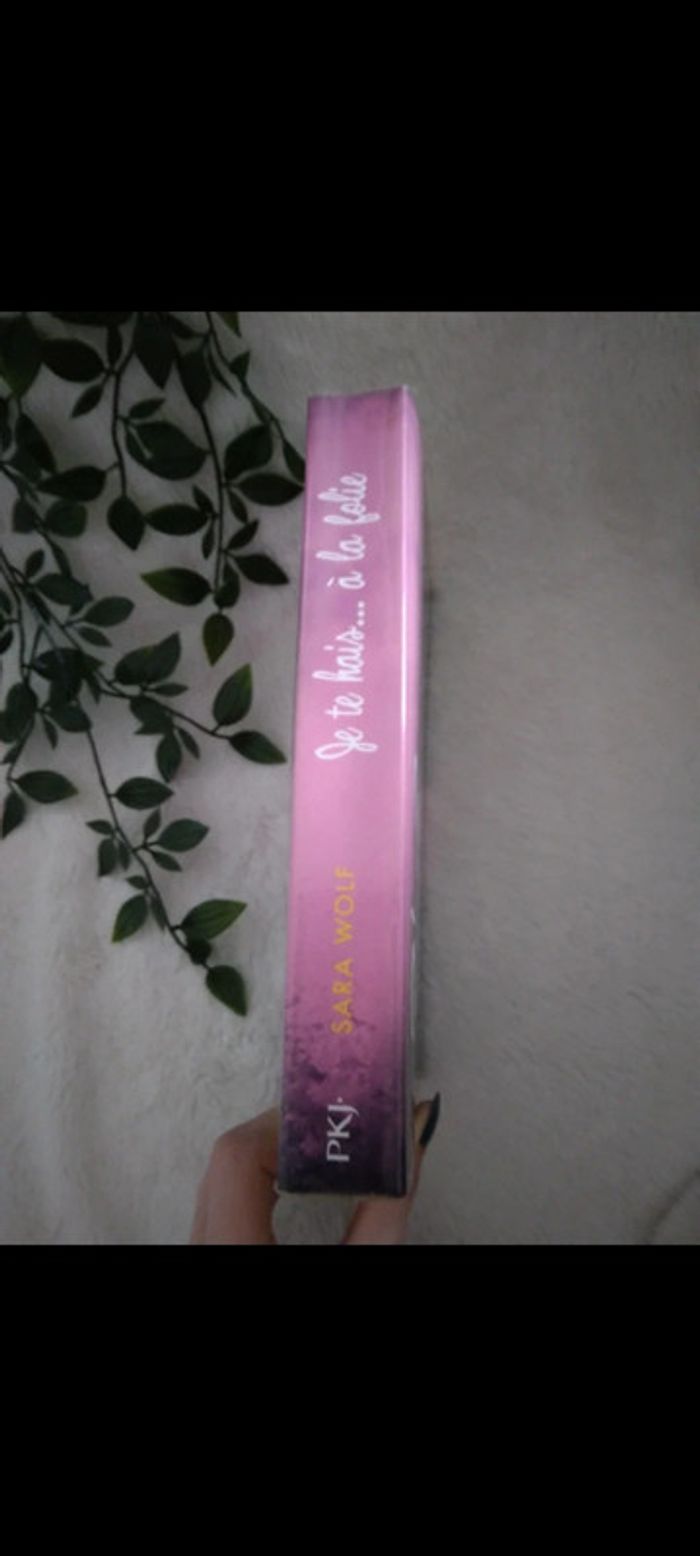 🌸Livre je te hais.. a la folie🌸 - photo numéro 3