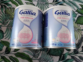 Lait pré Gallia 
