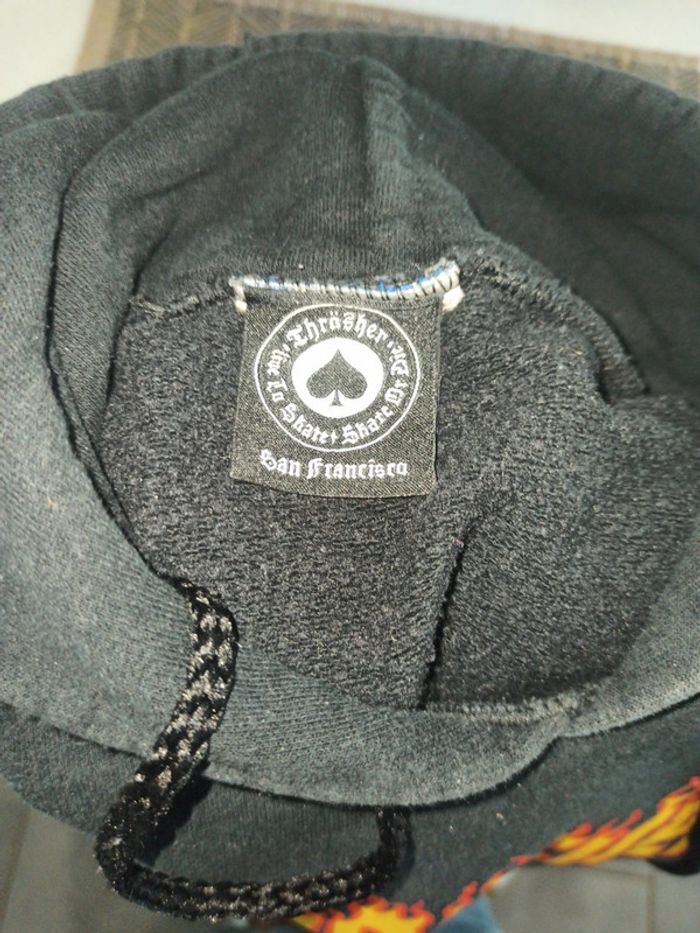 Pull a capuche thrasher - photo numéro 3