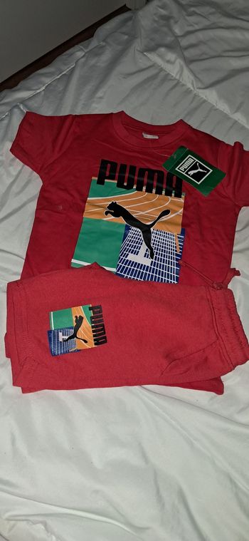 Ensemble puma