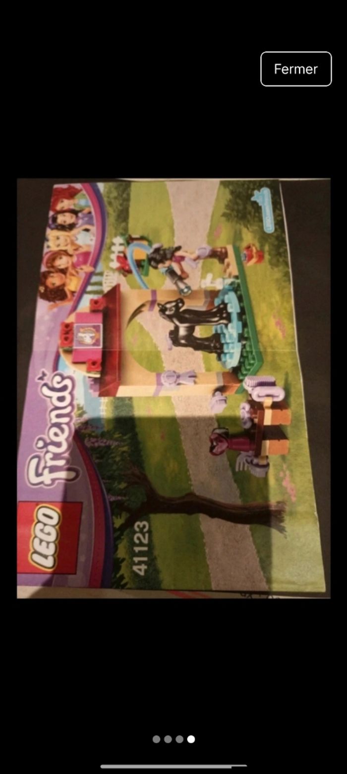 Lego 41123 - photo numéro 2