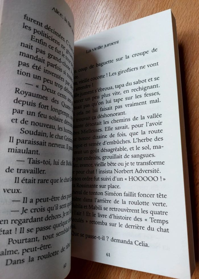 Alice la fille aux yeux papillon de Yves-Marie Clément - photo numéro 4