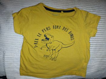 Tee-shirt dinausore