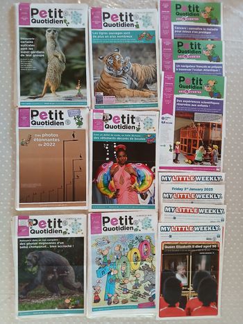 Lot de 120 magazines Petit quotidien