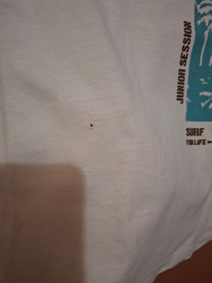 Tee-shirt - photo numéro 3