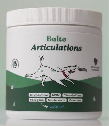 Bouchées pour chiens 