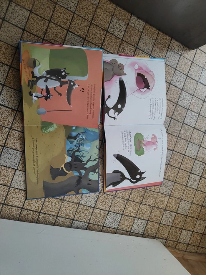 Deux livres de la collection petit loup - photo numéro 3