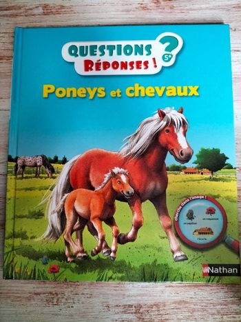 Livre enfant questions réponses Poneys et chevaux
