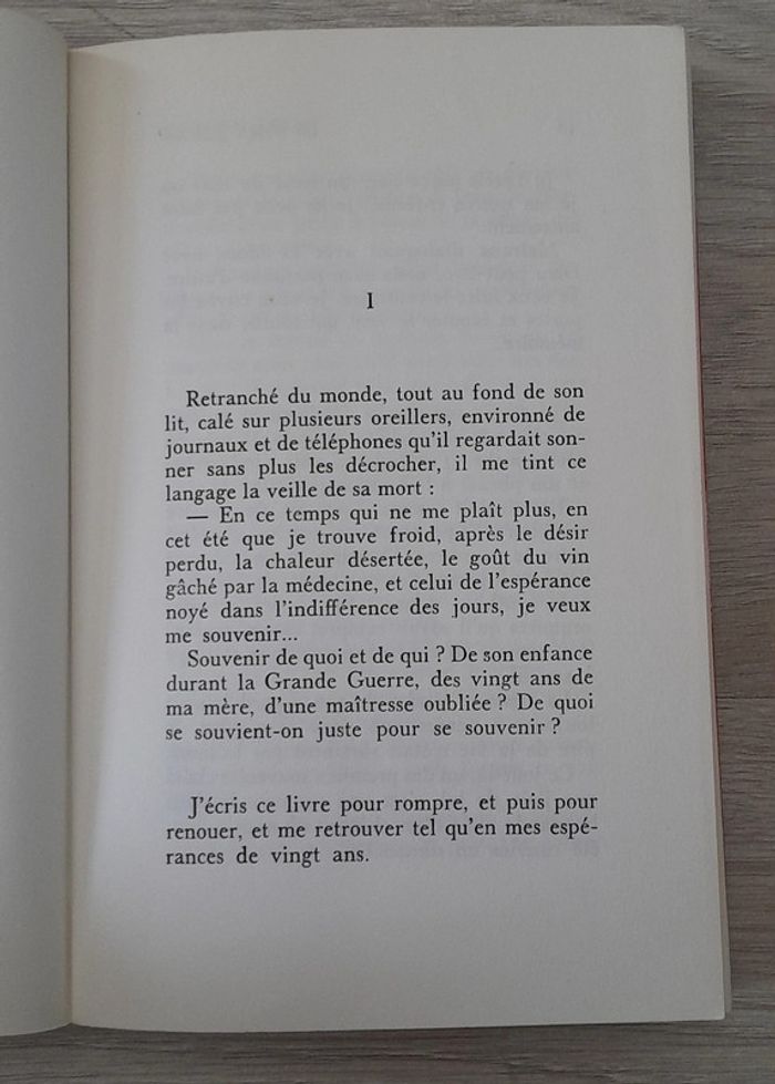 Pascal jardin le nain jaune - photo numéro 3