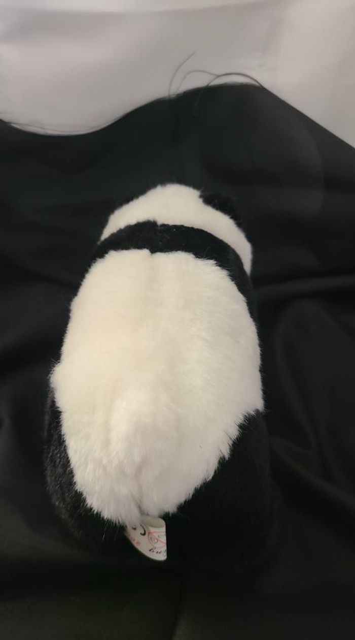 doudou panda - photo numéro 4
