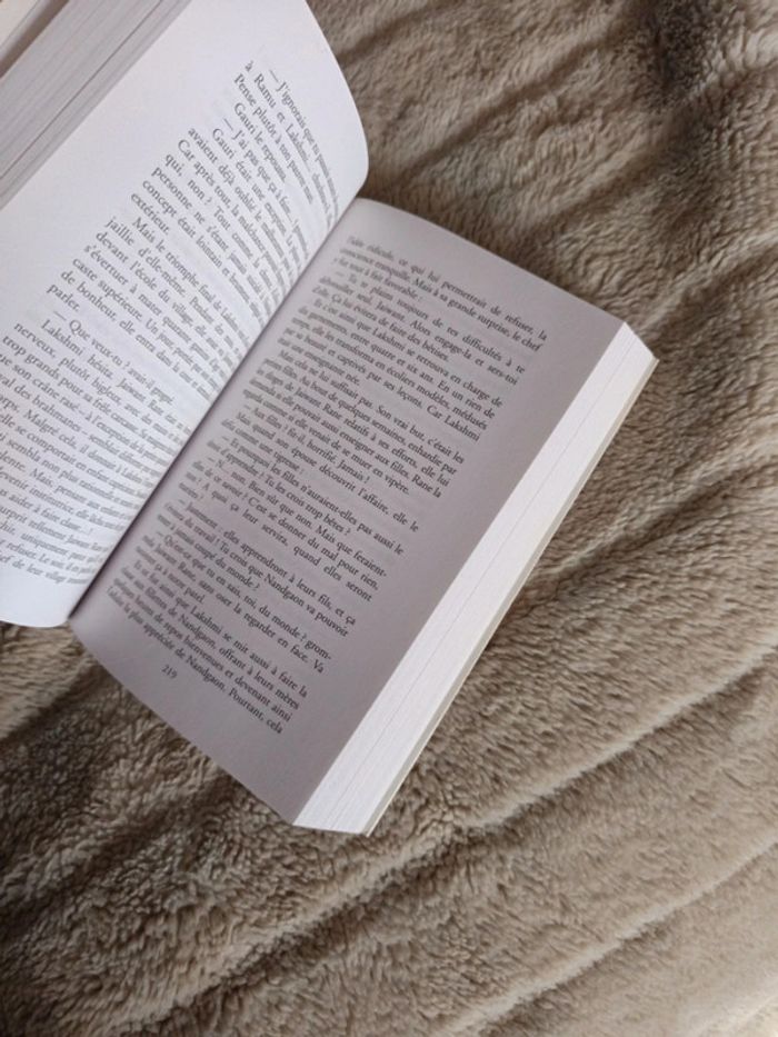 Des lanternes à leurs cornes attachées - photo numéro 6