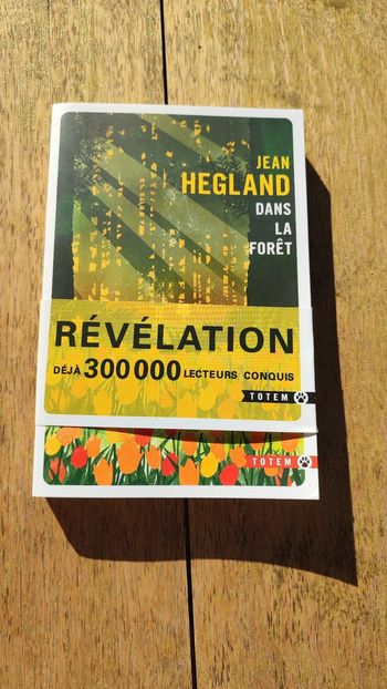 Livre Dans la forêt Jean Hegland