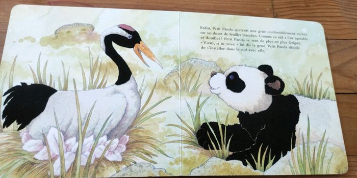 Petit panda livre à caresser - photo numéro 4