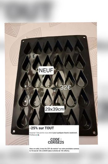 Moule de cuisson NEUF en silicone *Guy Demarle*