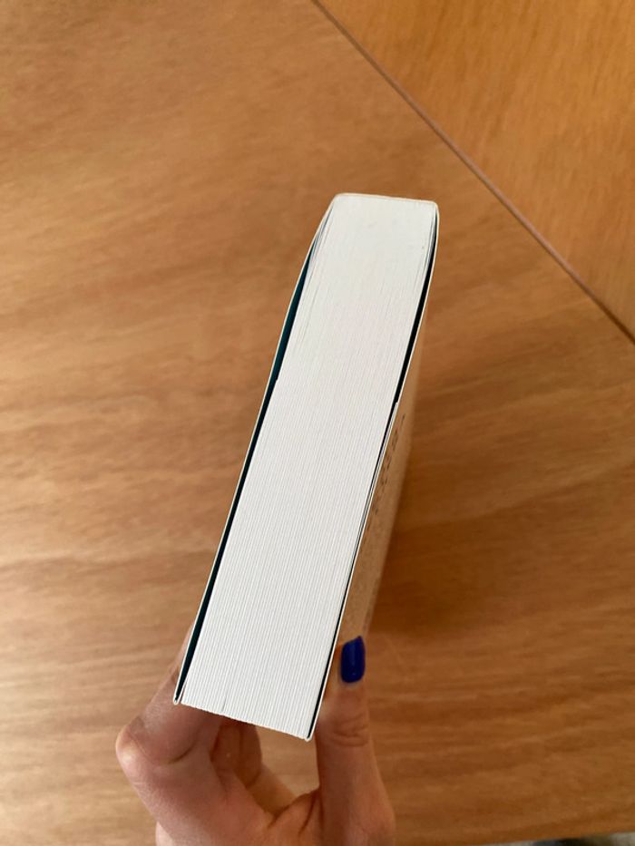 Roman Il nous restera ça - Virginie Grimaldi - photo numéro 4