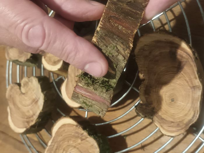 Lot de 6 anti mites naturel de bois de cade - photo numéro 3