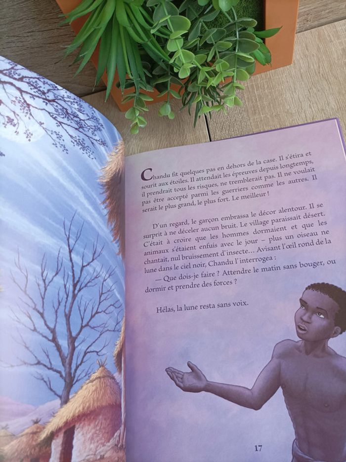 BD Bande dessinée L'arbre Du Désert Gründ - photo numéro 2