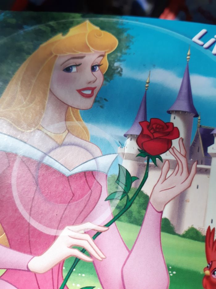 Livres cd disney - photo numéro 3