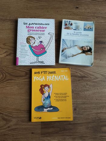 Lot de 3 livres grossesse guide femme enceinte