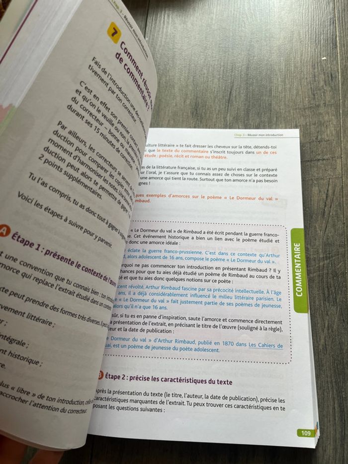 livre réussi ton bac de français - photo numéro 3