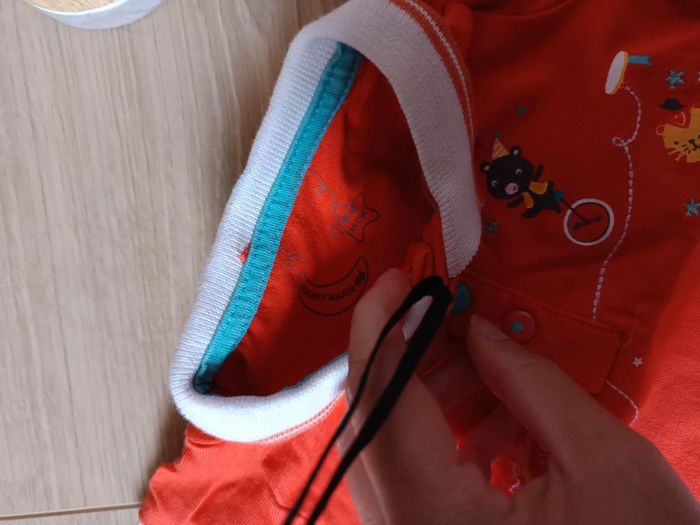 Barboteuse sergent major - photo numéro 2