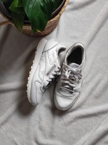 Baskets blanches Reebok classic