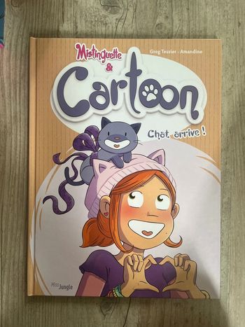 Lot de bd mistinguette (+ 2 hors serie) ou au choix