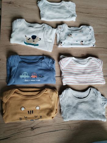 Lot bodies manches courtes