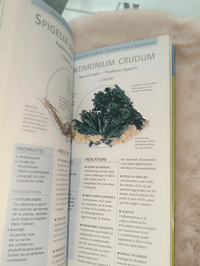 Mini encyclopédie santé-Homéopathie🍀 - photo numéro 2