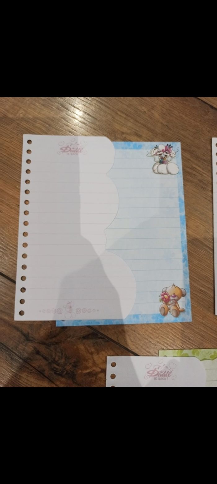 Lot de 3 feuilles Diddl is back carnet spirale - photo numéro 4