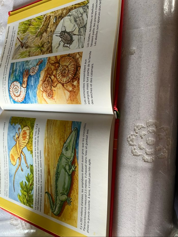 Livre. Je découvre en images. Les Dinosaures neuf - photo numéro 3