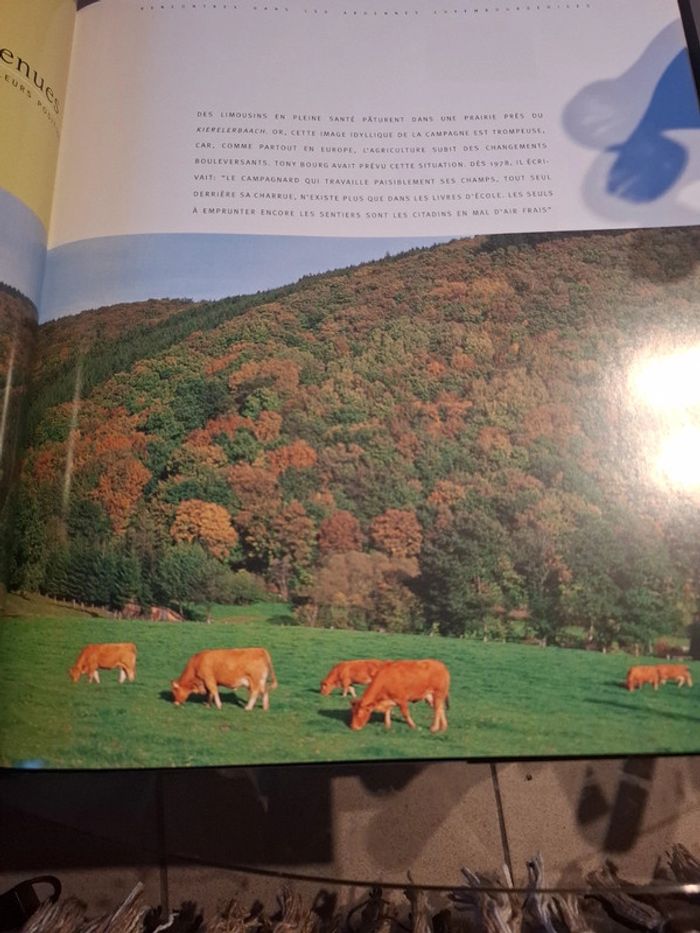 Rencontres dans les Ardennes luxembourgeoises - photo numéro 9